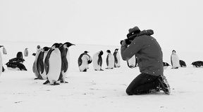 Voyage au Pôle Sud - Antartica Calling