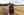 Dreharbeiten des Trailers